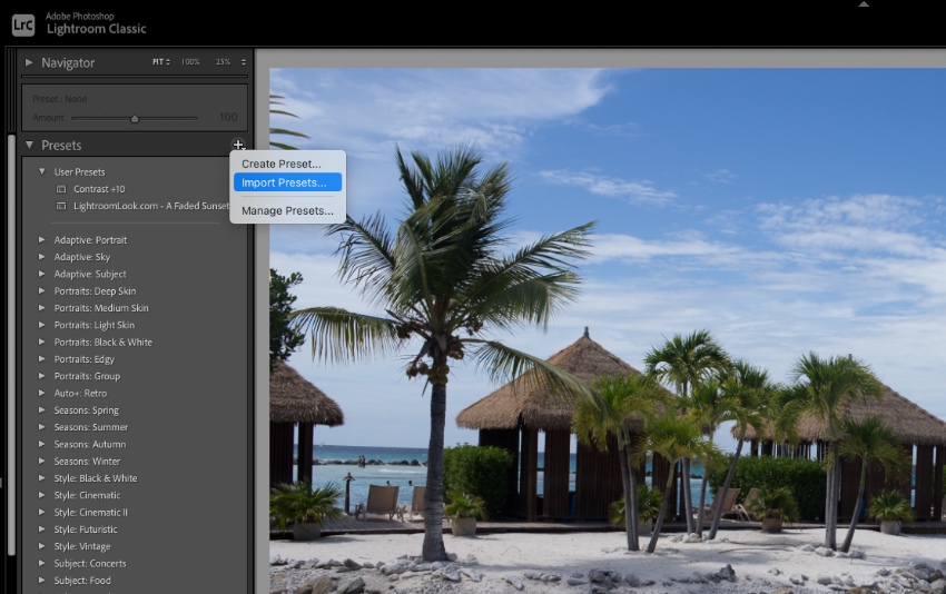 Go to Develop, then click the + icon on the Presets panel.